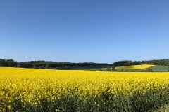 IMG-20170520-WA0016