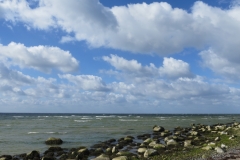 Klein Zicker (0014)