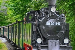 Roland (0011)