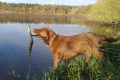 IMG-20190227-WA0064